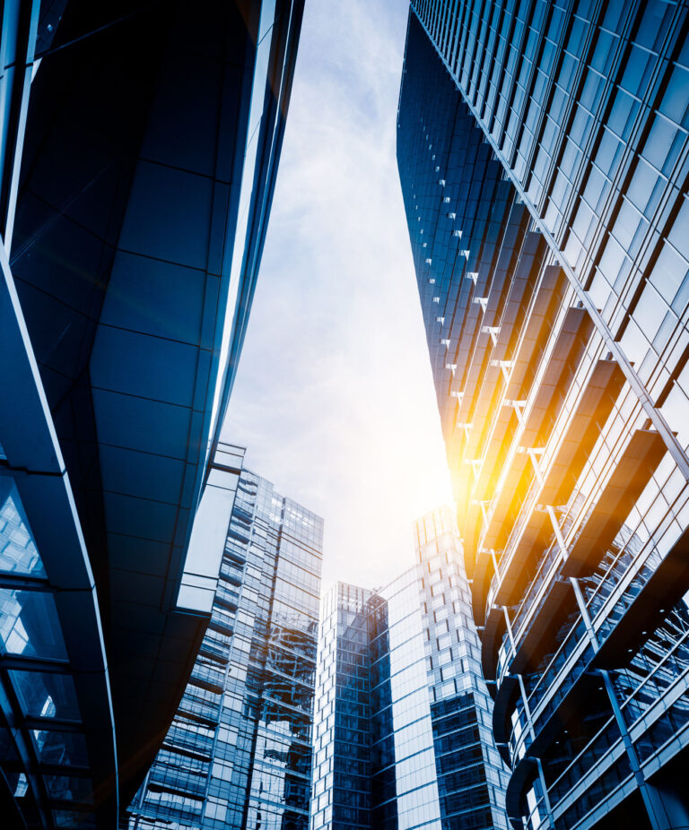 Build a Wood Fired Clay Oven (Demo)