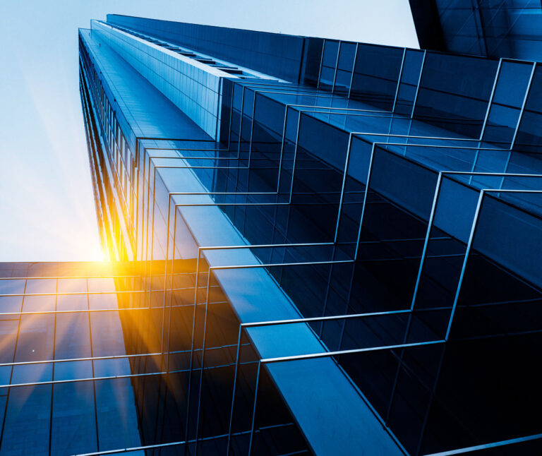 Build a Wood Fired Clay Oven (Demo)